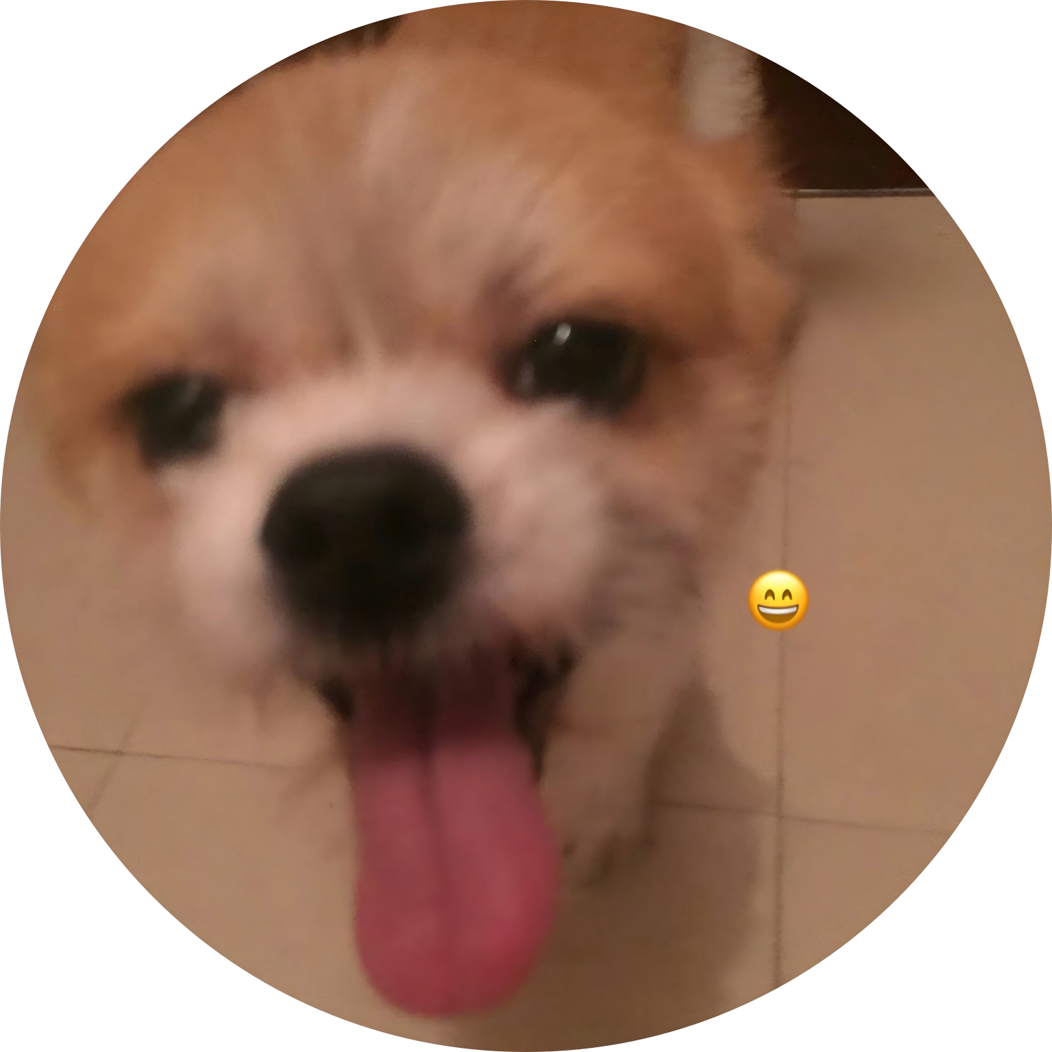 网站 Logo